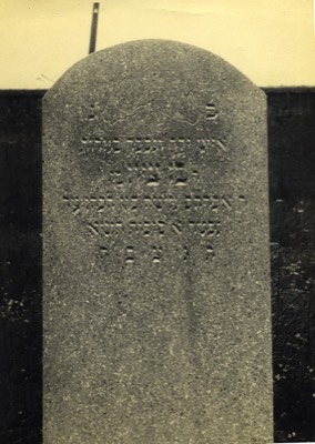  Grandfather Ben Zion's grave 