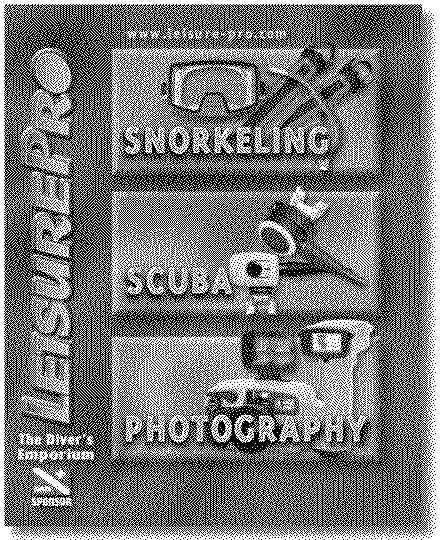 Leisure Pro Catalog