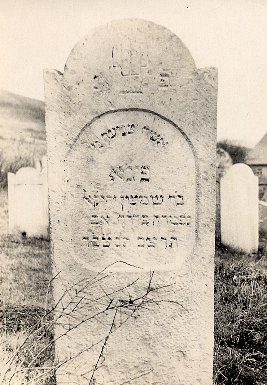  Great Grandmother Feiga Davidovits (mother of my grandmothe Leah Katz) 