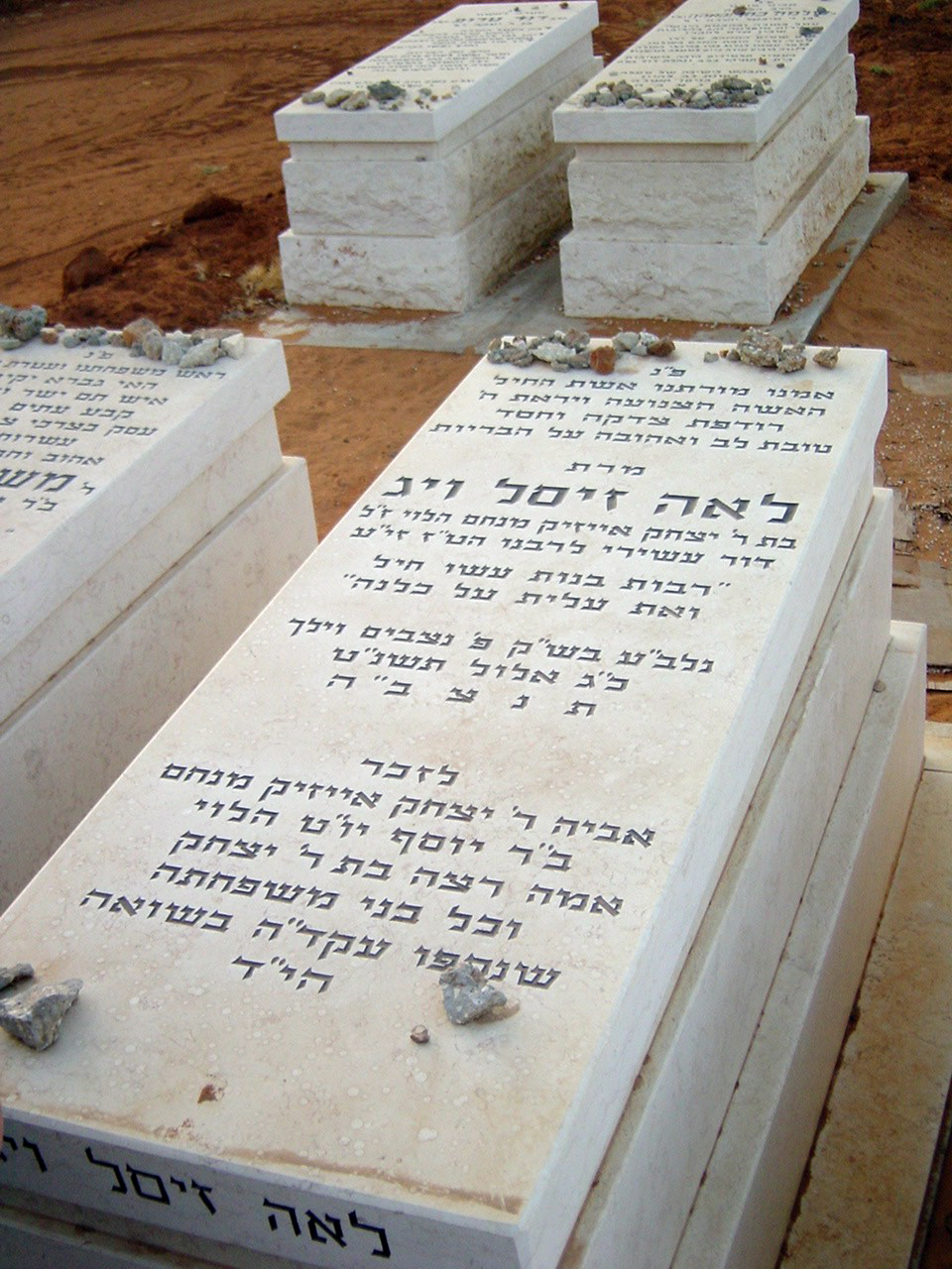  My aunt Zisel Veig, my mother's beloved sister 