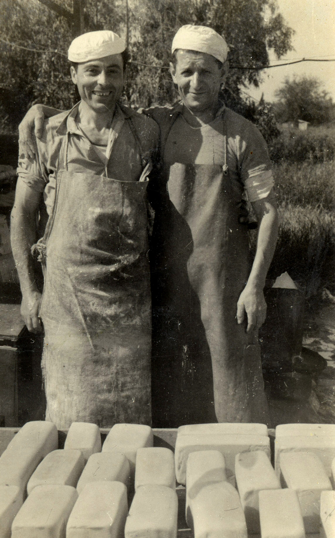  1948 at Strauss Dairy in Naharia 